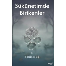 Sınırsız Kitap Sukunetimde Birikenler