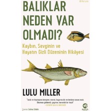 Nova Kitap Balıklar Neden Var Olmadı?