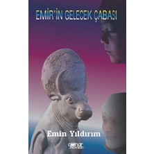 Gülnar Yayınları Emir'in Gelecek Çabası