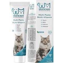SHC4200 Multivitamin Malt Macunu