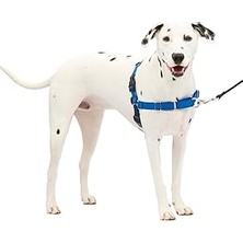 SHC4200 Petsafe Easy Walk No-Pull Koşum Takımı - Çekmeyi Durdurmaya Olacak Nihai Koşum Takım