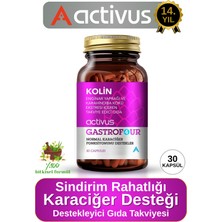 Activus Gastrofour Detoks Bitkisel Karaciğer ve Sindirim Sistemi Takviye Edici Gıda Kolin Enginar