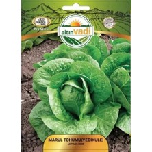 ALTINVADİ Altınvadi Yedikule Marul Tohumu 10 gr
