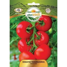 ALTINVADİ Altınvadi Sırık Domates Tohumu 5 gr