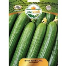 ALTINVADİ Altınvadi Beith Alpha Salatalık Tohumu 10 gr