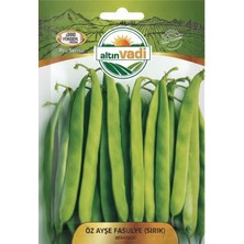 ALTINVADİ Altınvadi Öz Ayşe Sırık Fasulye Tohumu 20 gr