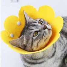 Buğz Evcil Hayvan M Boy Keçe Elizabeth Yakalığı