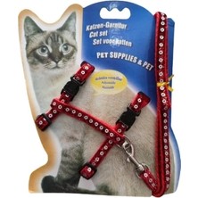 Buğz Parlak Kedi Gezdirme Göğüs Tasması