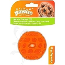 SHC4200 Pawise Dikenli Sesli Oyun Topu 5.5 cm