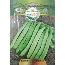 ALTINVADİ Altınvadi Sarıkız Oturak Fasulye Tohumu 20 gr