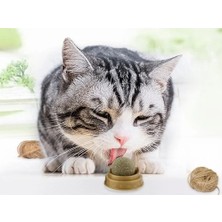 Buğz Kedi Otu Oyun Topu