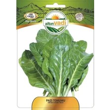 ALTINVADİ Altınvadi Pazı Tohumu 10 gr | Geniş Yapraklı
