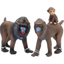 Tufy Toys Mandril Maymun Ailesi Figür Seti-Vahşi Hayvan Model Hayvan Oyuncak