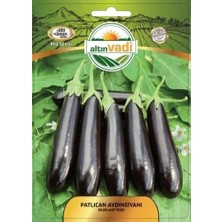 ALTINVADİ Altınvadi Aydın Siyahı Patlıcan Tohumu 10 gr
