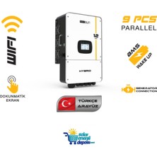 Sed Mexxsun 48V 12 Kw Hibrit Monofaze Inverter  Lv