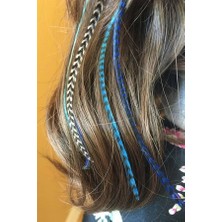 Prodiva Gerçek Sülün Tüyü Paket