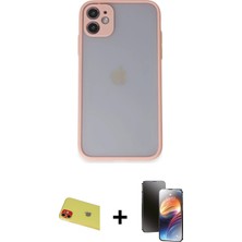 Cepte Toptan iPhone 11 Ahenk Çizgi Serisi - Siyah 3D Antistatik Mat Seramik Nano Ekran Koruyucu + Kırmızı Rainbow Kamera Lens Koruma Cam