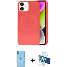 Cepte Toptan iPhone 11 Ufuk Serisi - Siyah 3D Antistatik Cam Ekran Koruyucu + Mavi Neon Fosforlu Kamera Lens