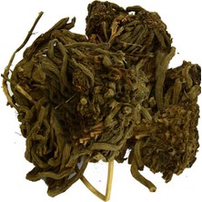 Nerm Kediotu Kökü Doğal 100 gr Paket