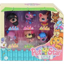 Senka KZL-3046A4 Pet Star 6'lı Miniş Seti -Kızılkaya Oyuncak