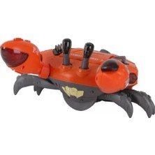 Senka Pa-1 Pi̇lli̇ Dans Eden Yengeç