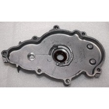 Arora Specıal ALFA110  -  Sağ Kartel Kapağı