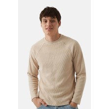 Reflect Studio Kızıl Tilki Fitilli Sweatshirt - Parşomen Bej