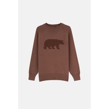 Reflect Studio Bozayı Triko Crew Neck Sweater - Kahverengi
