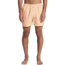 Quiksilver Deluxe 15 Erkek Şort EQYJV04101-3091