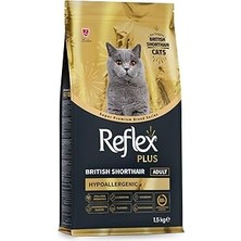 Uravas Store British Shorthair Yetişkin Mamasi 1.5 kg