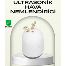SHC4200 Abs+Pp Malzemeli Taşınabilir 220 ml USB Mist Nemlendirici