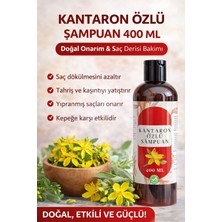 Herbliss Kantaron Özlü Şampuan 400 ml | Saç Dökülmesine Karşı Etkili, Onarıcı & Güçlendirici Bakım