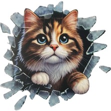 HZR Hayvan Figürlü Araç Sticerı Stray Kedi