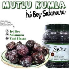 Solive Mutlu Kumla Iri Salamura