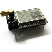 EGN Elektronik STR09RSH4 433MHZ/+20DBM Rf Mcu+Lora Transceiver Modülü (STM32WLE5X, Saw, Tcxo, Sma Rf Konnektör)