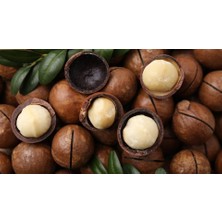 Macadamıa (Makademya) Fındık 500 gr