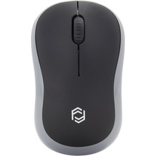 Everest FM-272WM Kablosuz Optik Mini Nano Alıcı Kablosuz Mouse