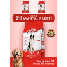 Dog food energy Kuzu Etli Yetişkin Köpek Maması 3 kg - 2 Adet
