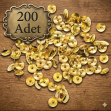 Neler Geldi Neler 200 Adet Raptiye Metal Raptiye Sarı Raptiye Çivisi Gold Renk Rabtiye Sarı (Gold) Renk Dekoratif Çivi