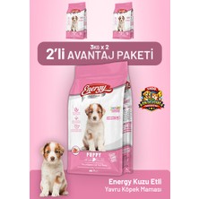 Dog food energy Kuzu Etli Yavru Köpek Maması 3 kg - 2 Adet