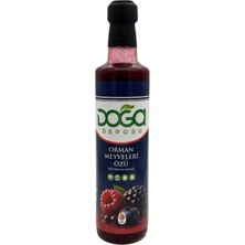 Doğa Deposu Orman Meyveleri Özü 670 gr