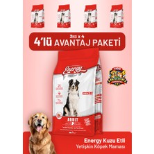 Dog food energy Kuzu Etli Yetişkin Köpek Maması 3 kg - 4 Adet
