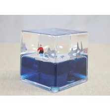 MiraLive Batmayan Gemi ALK3415