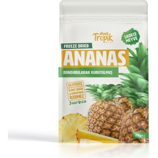 Dondurularak Kurutulmuş Ananas 20 G | Freeze Dried Meyve Cipsi | Çıtır Meyve Kurusu | 2 Adet