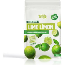 Dondurularak Kurutulmuş Lime Limon 16 G | Freeze Dried Meyve Cipsi | Çıtır Meyve Kurusu | 2 Adet