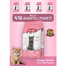 Cat food energy Tavuklu Yavru Kedi Maması 3 kg - 4 Adet