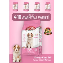 Dog food energy Kuzu Etli Yavru Köpek Maması 3 kg - 4 Adet