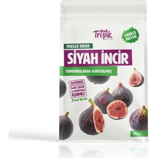 Dondurularak Kurutulmuş Siyah Incir 20 G | Freeze Dried Meyve Cipsi | Çıtır Meyve Kurusu | 1 Adet