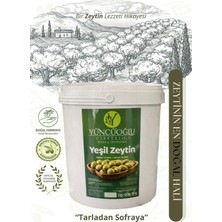 Çiftliği Çizik Yeşil Zeytin - Kendi Bahçemizden Doğal ve Katkısız Köy Tipi 5 kg