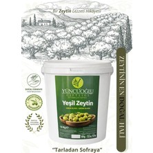 Çiftliği Çizik Yeşil Zeytin - Kendi Bahçemizden Doğal ve Katkısız Köy Tipi 10 kg